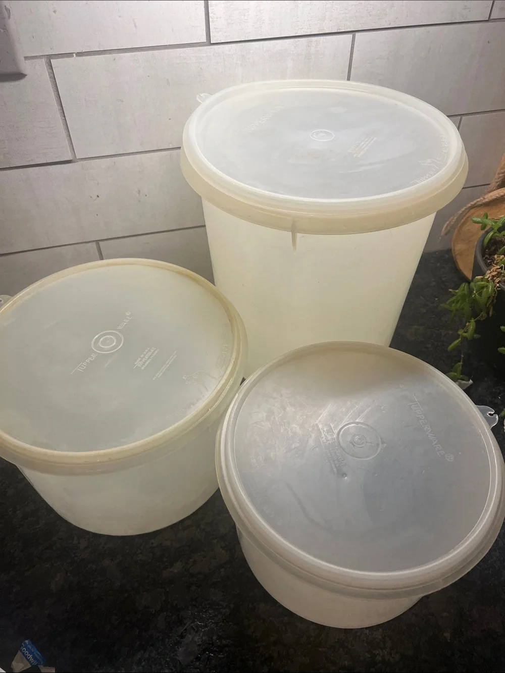 Set of 3 LARGE TUPPERWARE Plastic Food Storage Container Set. Assorted sizes